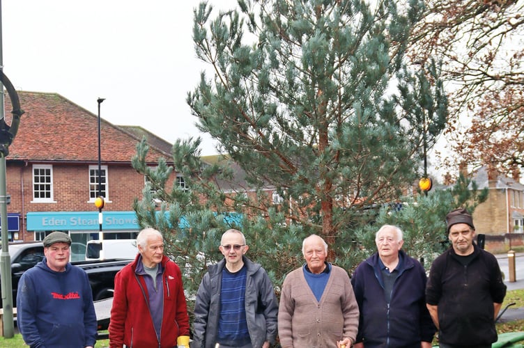 The village Christmas tree is a Scots pine from the local heathland, collected by a working party that included parish councillors and members of Chobham Commons Preservation Committee.