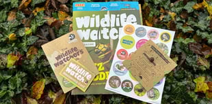 Wildlife charities offer ideal gift