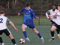Superb Sheers earn emphatic win against Brewers