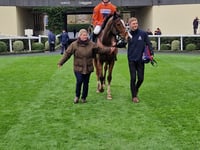 Mark Of Gold wins Grade 2 Howden Noel Novices Steeple Chase at Ascot