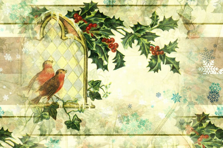 Robin and holly 