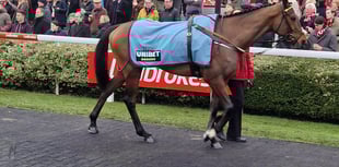 Henderson enjoys incredible 24 hours at Kempton Park