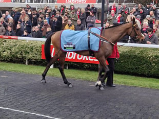 Henderson enjoys incredible 24 hours at Kempton Park