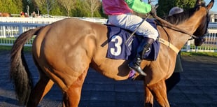 Cold snap hits horse racing as meetings fall victim to weather