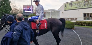 Villalobos dominates mile handicap to win at Kempton Park