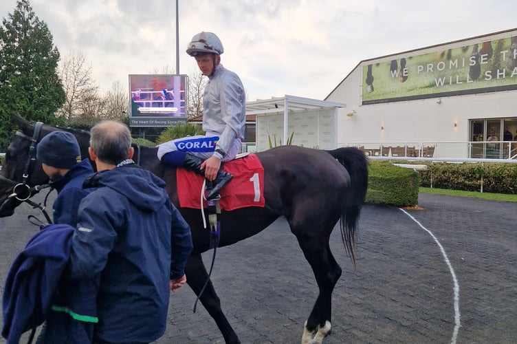 Blue Laced, ridden by David Probert after winning at Kempton Park (Photo: Peter Moore)