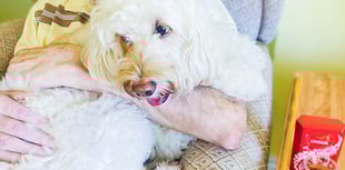 It’s ‘all that Jazz’ every day at Bernard Sunley 