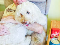 It’s ‘all that Jazz’ every day at Bernard Sunley 