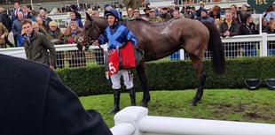 Grand Military Gold Cup day takes place at Sandown Park