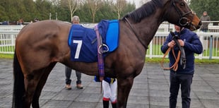 Cheltenham Festival is fast approaching