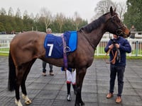 Cheltenham Festival is fast approaching