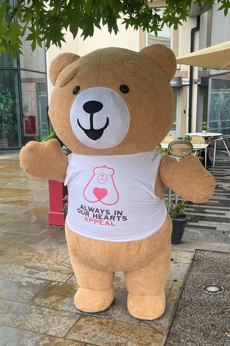 Sam Bear WSBH