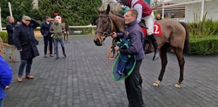 El Rio wins handicap chase at Kempton Park