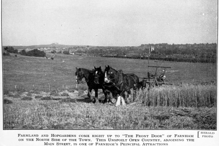 A bygone view of the hop gardens now occupied by the Abbey View estate. The caption reads 'This unspoilt open country, adjoining the main street, is one of Farnham's principal attractions'