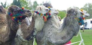 Chobham Carnival 2025 aims to be bigger than and better than ever