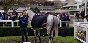Hollywood glamour at Sandown Park on Royal Artillery Gold Cup Day