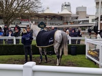 Hollywood glamour at Sandown Park on Royal Artillery Gold Cup Day