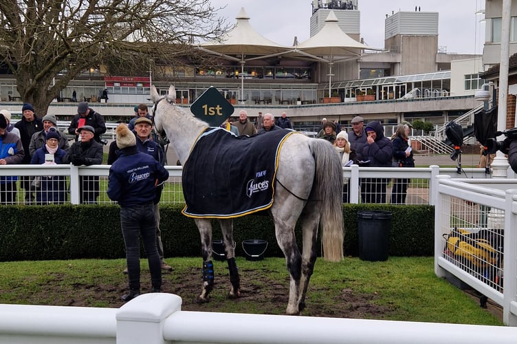 Frenchy Du Large in the winners' enclosure (Photo: Peter Moore)