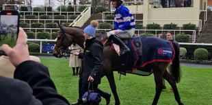 Nicholls achieves back-to-back victories in Betfair Chase at Ascot