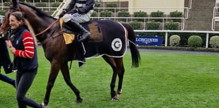 World of racing in mourning after death of jockey Michael O’Sullivan