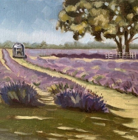 anthony shelton field of tranquillity