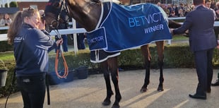 Bowen to miss Cheltenham Festival after receiving seven-day ban