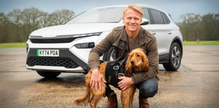 VIDEO: Dogs prefer electric cars over petrol - Study explains why