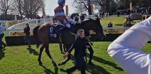 Go Dante seals back-to-back Betfair Imperial Cups at Sandown Park