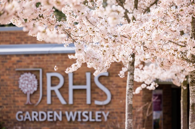 Blossom greets visitors to RHS Garden Wisley ©RHS. Credit Line RHS, Oliver Dixon