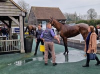 Peter Moore horse racing column: Golden Ace clinches surprise victory