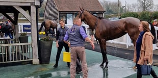 Peter Moore horse racing column: Golden Ace clinches surprise victory