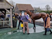 Peter Moore horse racing column: Golden Ace clinches surprise victory