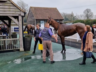 Peter Moore horse racing column: Golden Ace clinches surprise victory