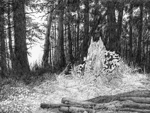 Artist's exhibition puts accent on nature