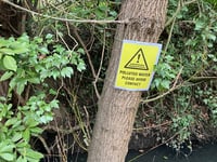 Why I worry about this threat to Horsell Common wildlife
