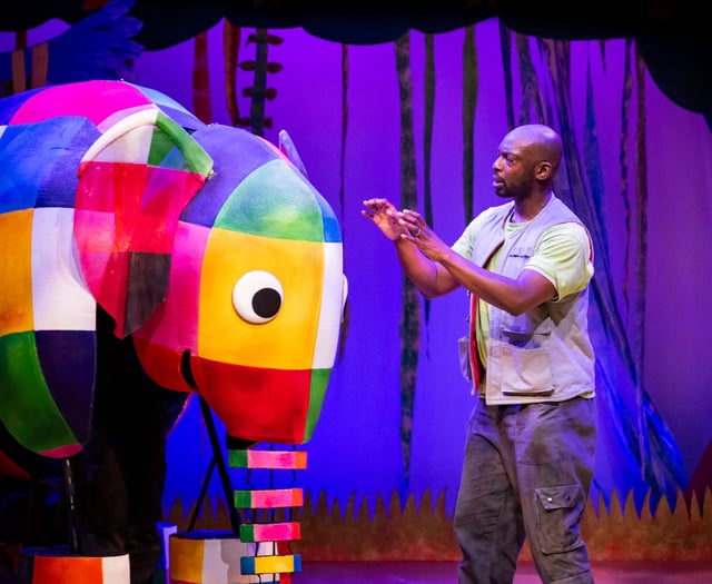 Meet the elephant in the room