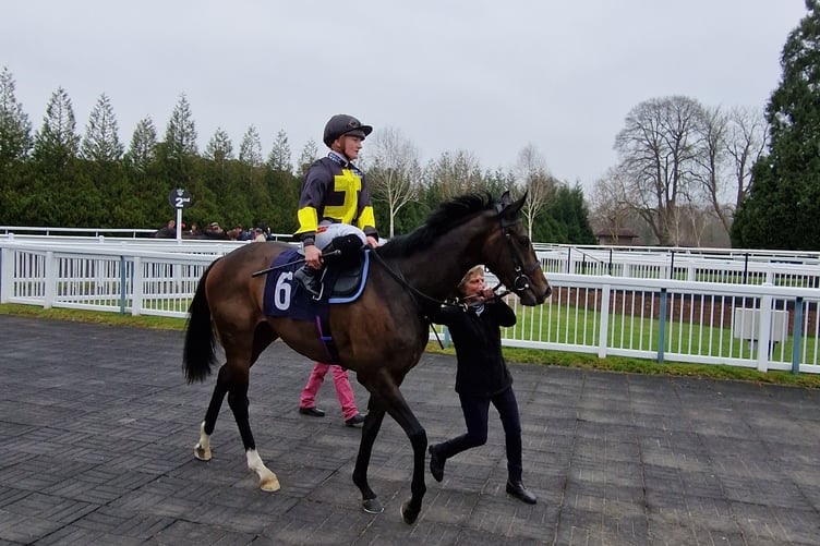 Jockey Hollie Doyle aboard Handle With Care who gave Hollie her 1,000th winner in the UK (Photo: Peter Moore)