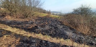 Box Hill fire sparks wildfire warning for Surrey visitors