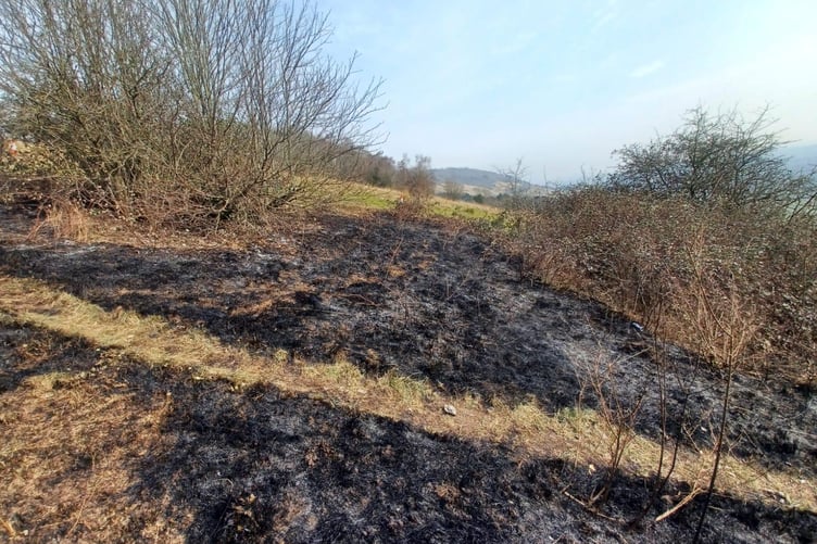 Box Hill pictured after the fire in March 2025