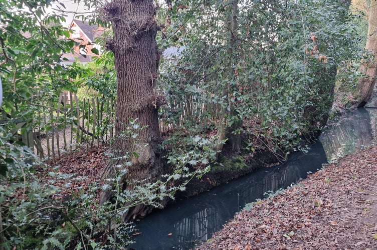 Rive Ditch