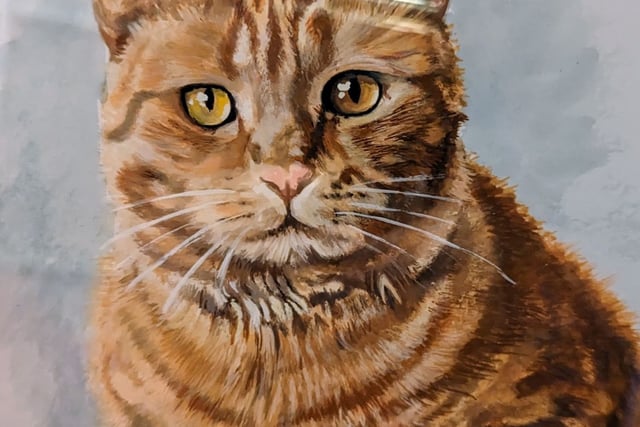 Grandson ‘killed’ grandmother’s cat at relative’s Woking home