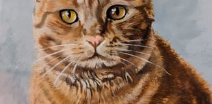 Grandson ‘killed’ grandmother’s cat at relative’s Woking home