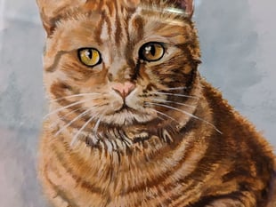 Grandson ‘killed’ grandmother’s cat at relative’s Woking home