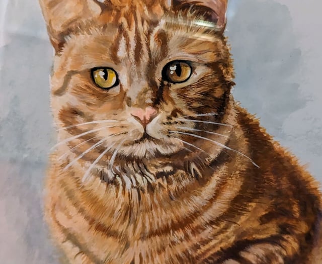 Grandson ‘killed’ grandmother’s cat at relative’s Woking home