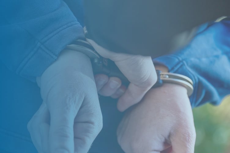 Surrey Police arrested pic