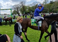 Dancing Gemini shines at Sandown