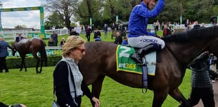 Dancing Gemini shines at Sandown