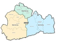 Surrey's political shake-up