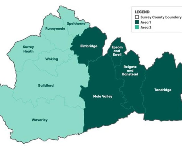 Surrey County Council's two-authority plan is 'recipe for failure'