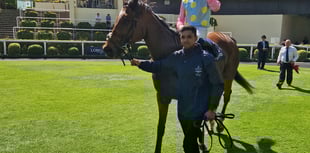 Yashin triumphs in Longines Sagaro Stakes at Ascot Racecourse